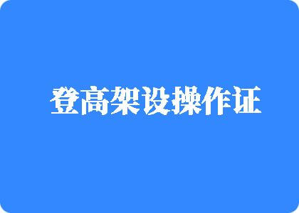 嫩逼逼攘逼逼登高架设操作证